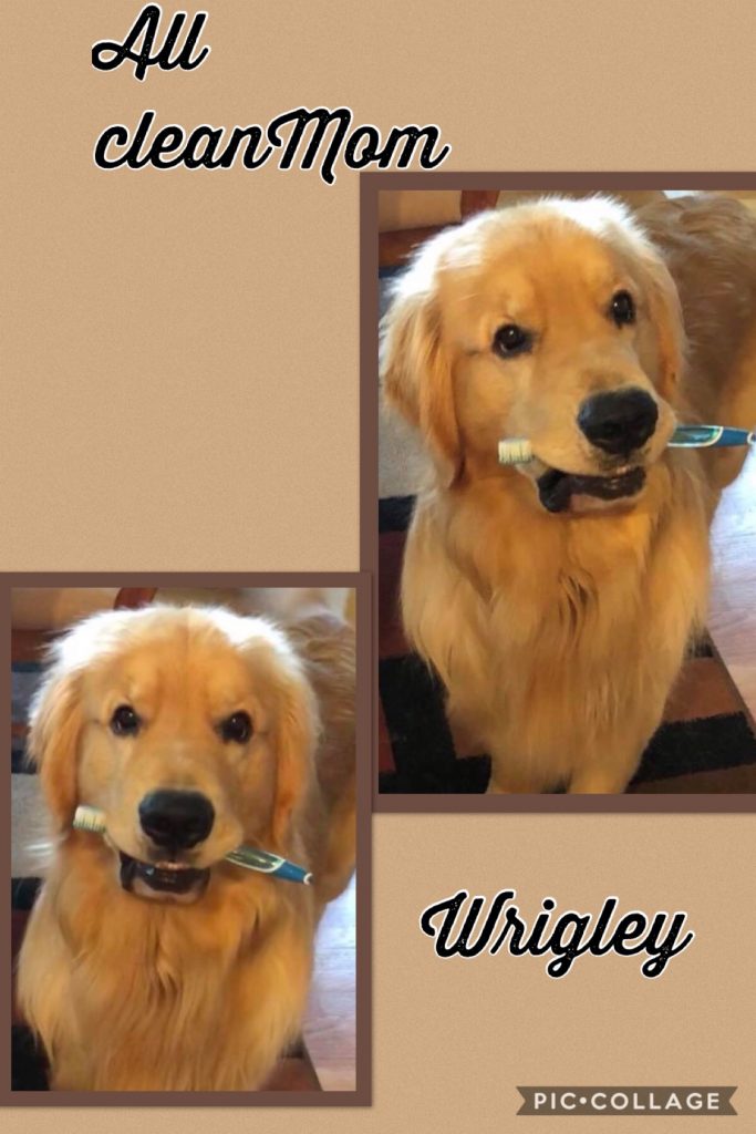 RUBY'S SON
